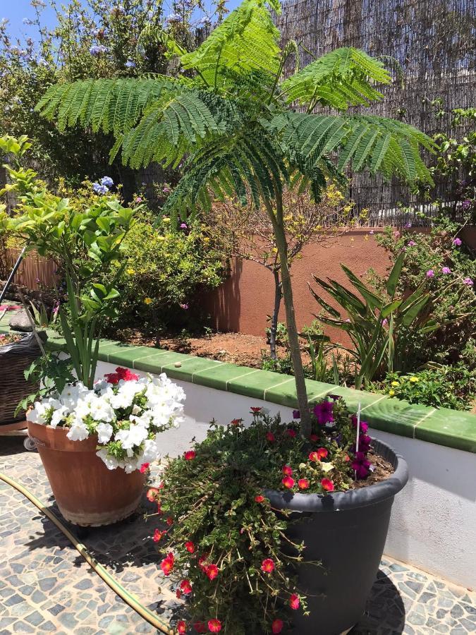 Apartamento Con Encanto En La Playa Frente Al Mar "Posada Rent House" Puerto del Rosario  Eksteriør bilde